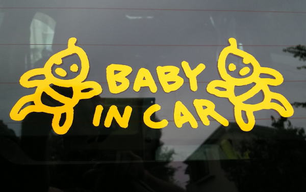 Baby in car Twins